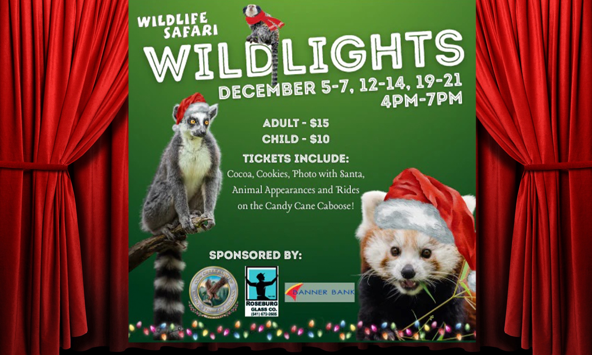Explore Magical Holiday Lights with Wildlights Entry Tickets