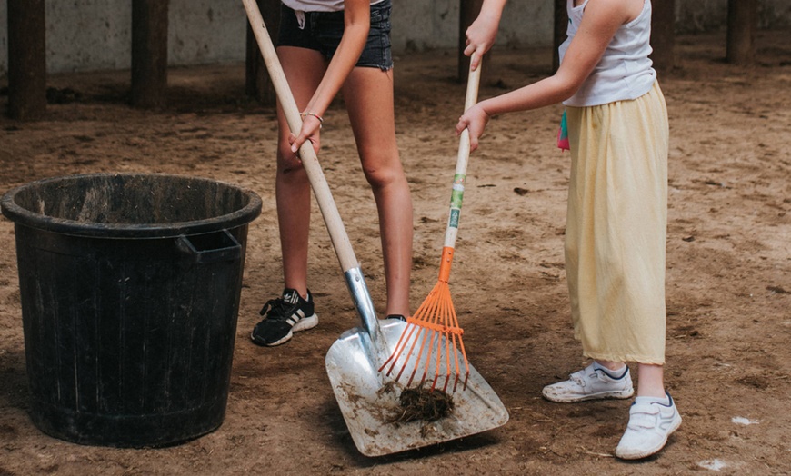 Image 42: Vivre les missions d’un soigneur au Touroparc Zoo