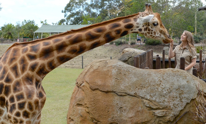 Image 3: Admission and Hospital Sneak Peek to Australia Zoo