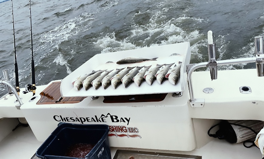 Image 6: Join All Inclusive Thrilling Fishing Trip For Up to Four People 
