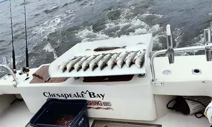 Join All Inclusive Thrilling Fishing Trip For Up to Four People 