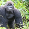 Image 9: Up to 17% Off on Zoo / Animal Park at The Aspinall Foundation