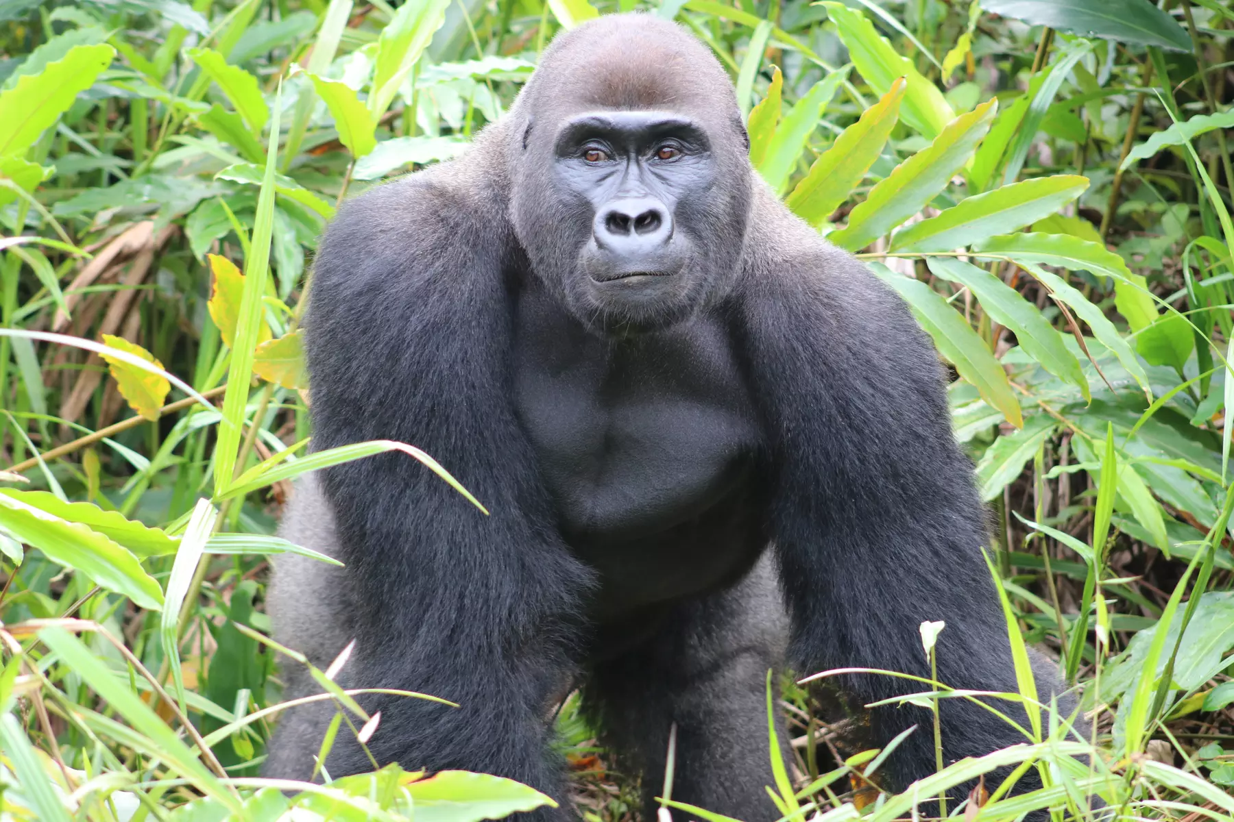 Up to 17% Off on Zoo / Animal Park at The Aspinall Foundation