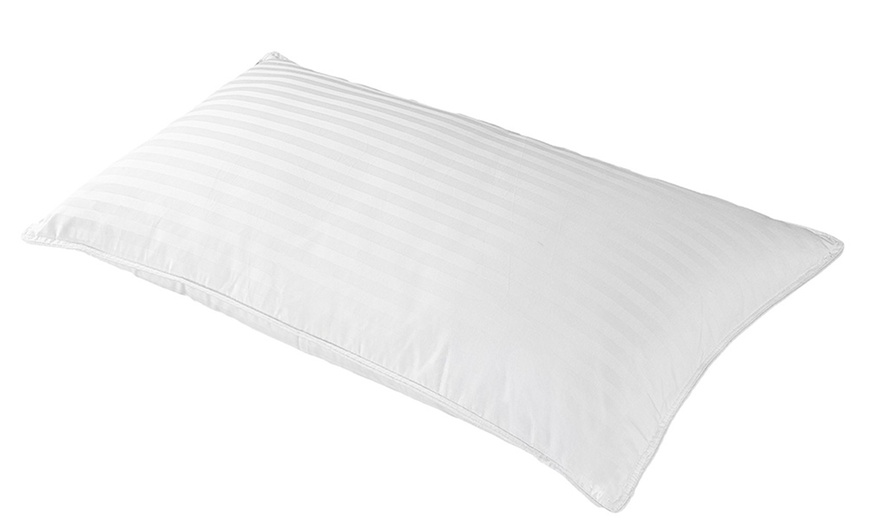 Image 3: Palace Federkissen, Federn und Daunen, Sampur