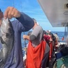 Image 6: Up to 40% Off Family-Friendly 4-Hour Fishing Trips