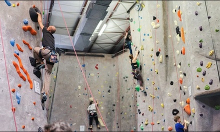 Climbing Day Pass for 1 Person - Climb Capuchin - Houston