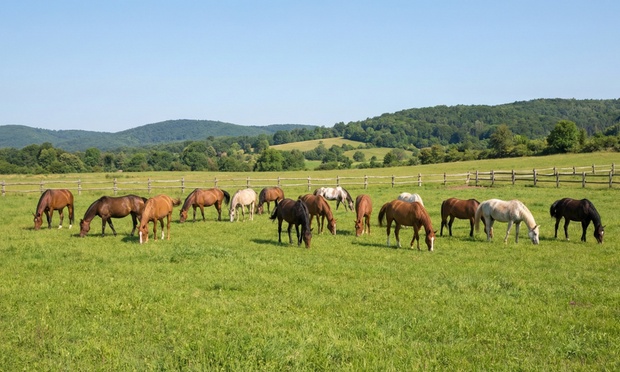 What to expect media