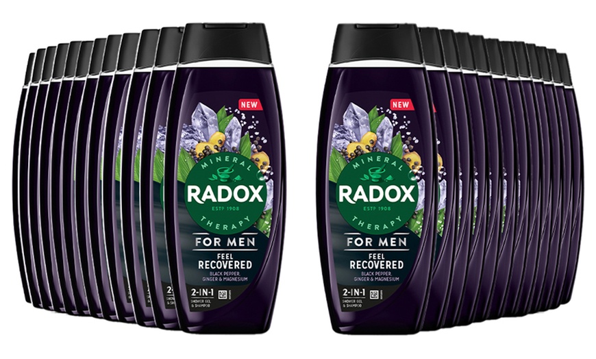 Image 16: Radox Mineral Therapy 2in1 Shower Gel and Shampoo 450ml