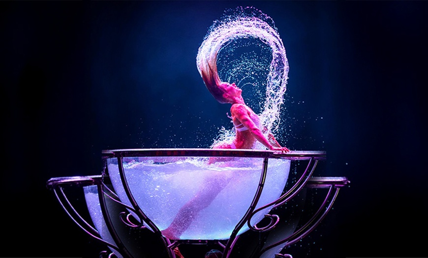 Image 5: Ticket für die La Piazza X-MAS Show vom 16. - 31.01.26 in Hamburg