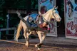 Enjoy a Wild West Adventure Show at Shepherd's of the Hills in Branson: June 1 - August 13, 2025 (Up to 43% Off) - Second Medium