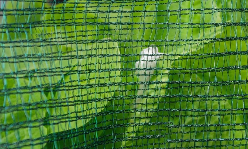 Image 4: Rotolo rete antigrandine