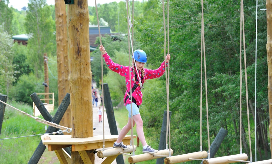 Image 2: Hi Rope Course Experience