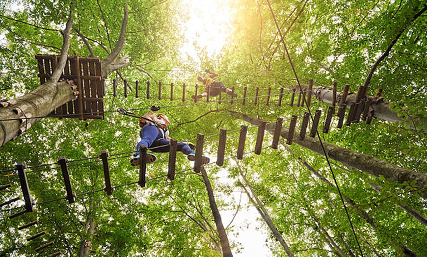 Image 7: Une entrée accrobranche en basse ou haute saison à Adventure Park