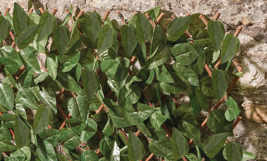 Image 9: Artificial Hedge Trellis