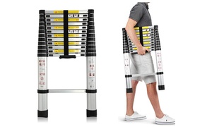 Telescopic Ladder