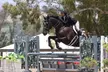 1 or 3 Private 45-Min English Riding Lessons for Skill & Confidence at CM Stables(Up To 22% Off) - Second Medium