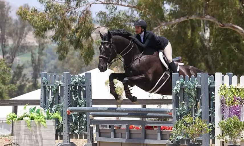 Private English Riding Lessons – 45 Minutes