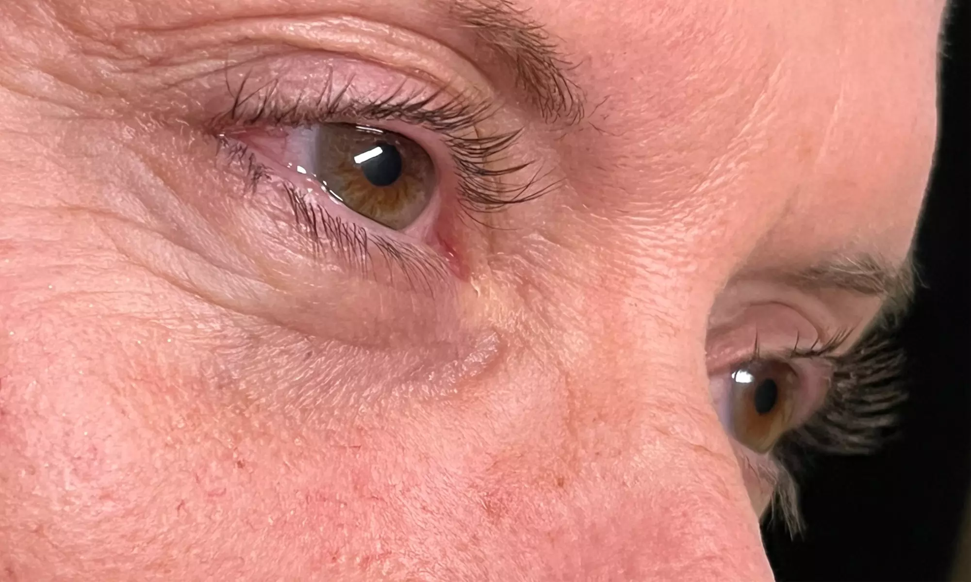 Transform with Brow Lamination With Tint, or Lash & Brow Bundle