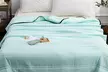 Air-Conditioned Thin Quilt: One Piece with 74% Off; FREE SHIPPING - Image 7