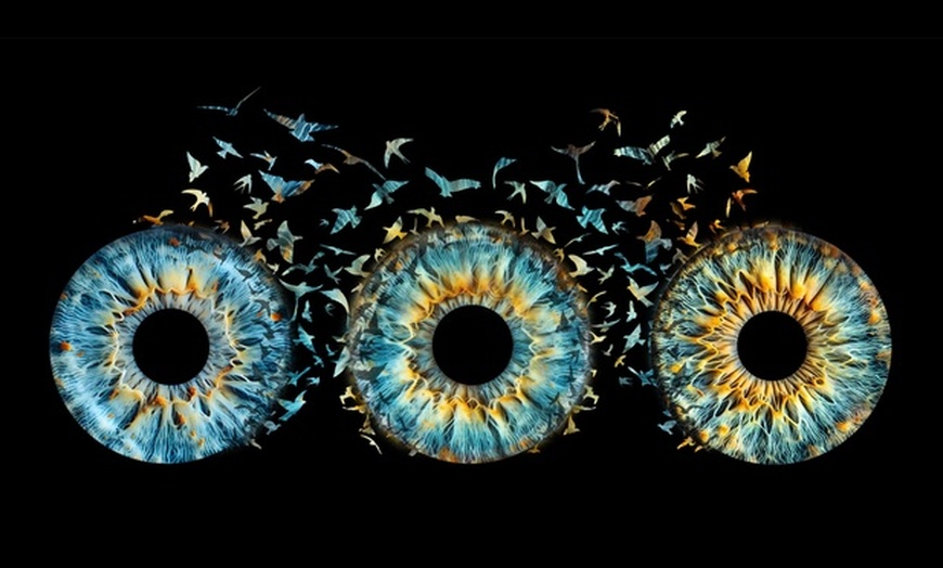 Image 3: Custom Iris Photo Art For Couples, Families or Pets