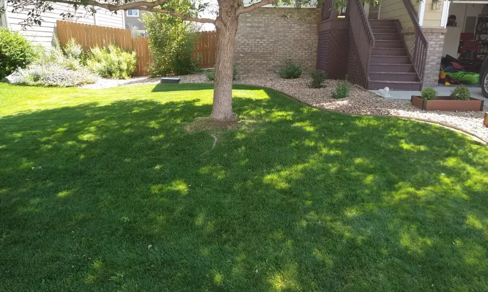 Transform Your Lawn with 1, 3, or 5 Lawn Mowing Services (5000 SQ FT)
