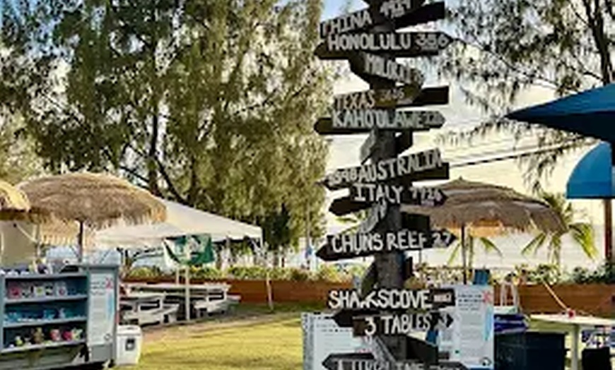 Image 4: Surfboard or Stand-Up Paddleboard Rentals for Ocean Exploration