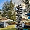 Image 4: Surfboard or Stand-Up Paddleboard Rentals for Ocean Exploration