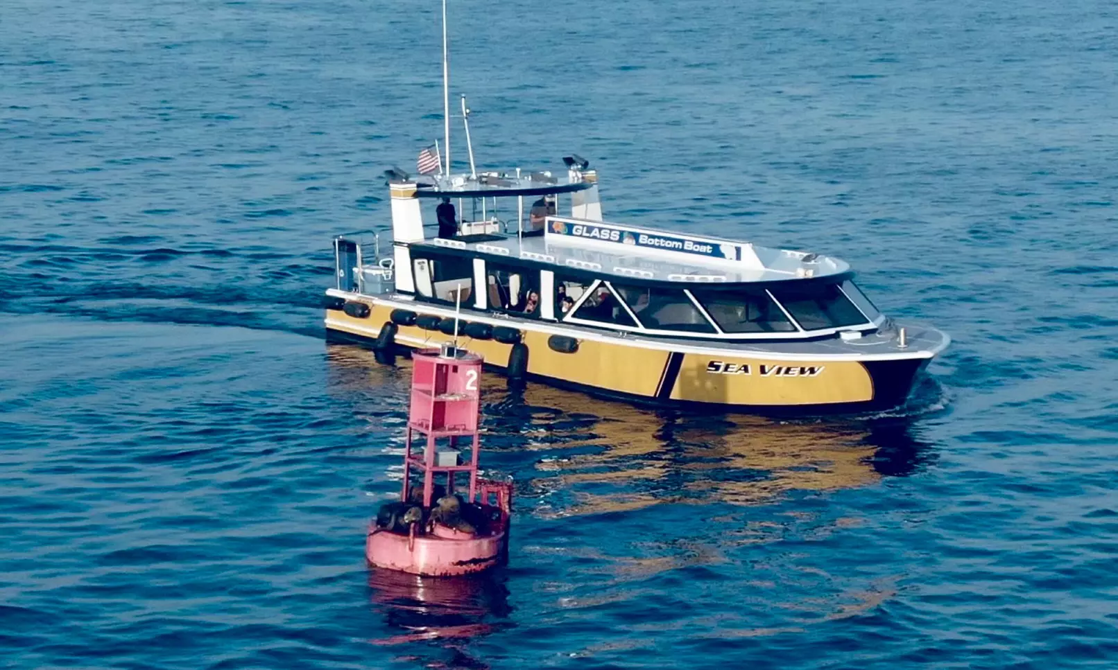 Enjoy One Hour Glass Bottom Boat Eco-Harbour Tour For One, Two or Four