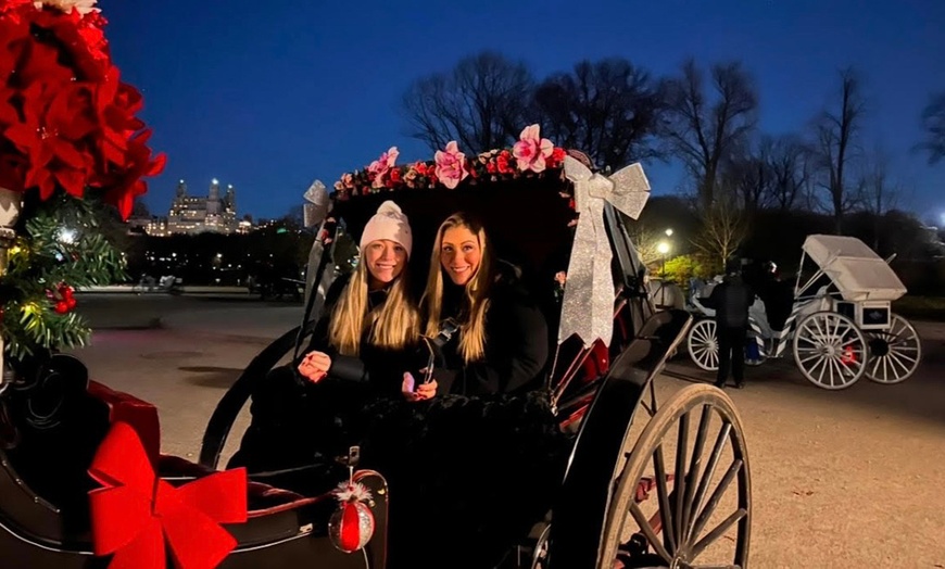 Image 5: Central Park Tours: Mini, VIP, Night, Moonlight, & More - Up to 4 