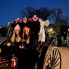 Image 5: Central Park Tours: Mini, VIP, Night, Moonlight, & More - Up to 4 