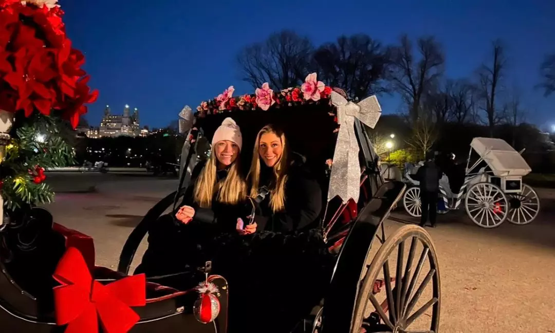 Central Park Tours: Mini, VIP, Night, Moonlight, & More - Up to 4 