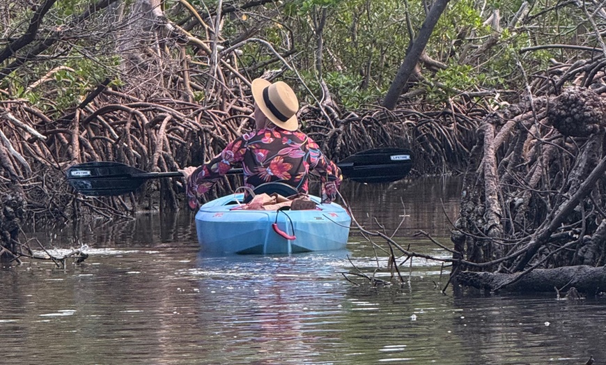 Image 1: 75-Min Kayak Tours – Sunrise, Sunset & Mangrove Adventures