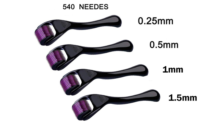 Image 4: Derma Roller Micro Needle Set (0.25mm, 0.5mm, 1.0mm, 1.5mm)