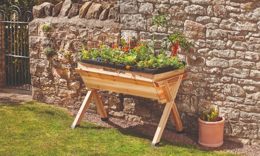 Image 29: Garden Grow Raised Wooden Cold Frame