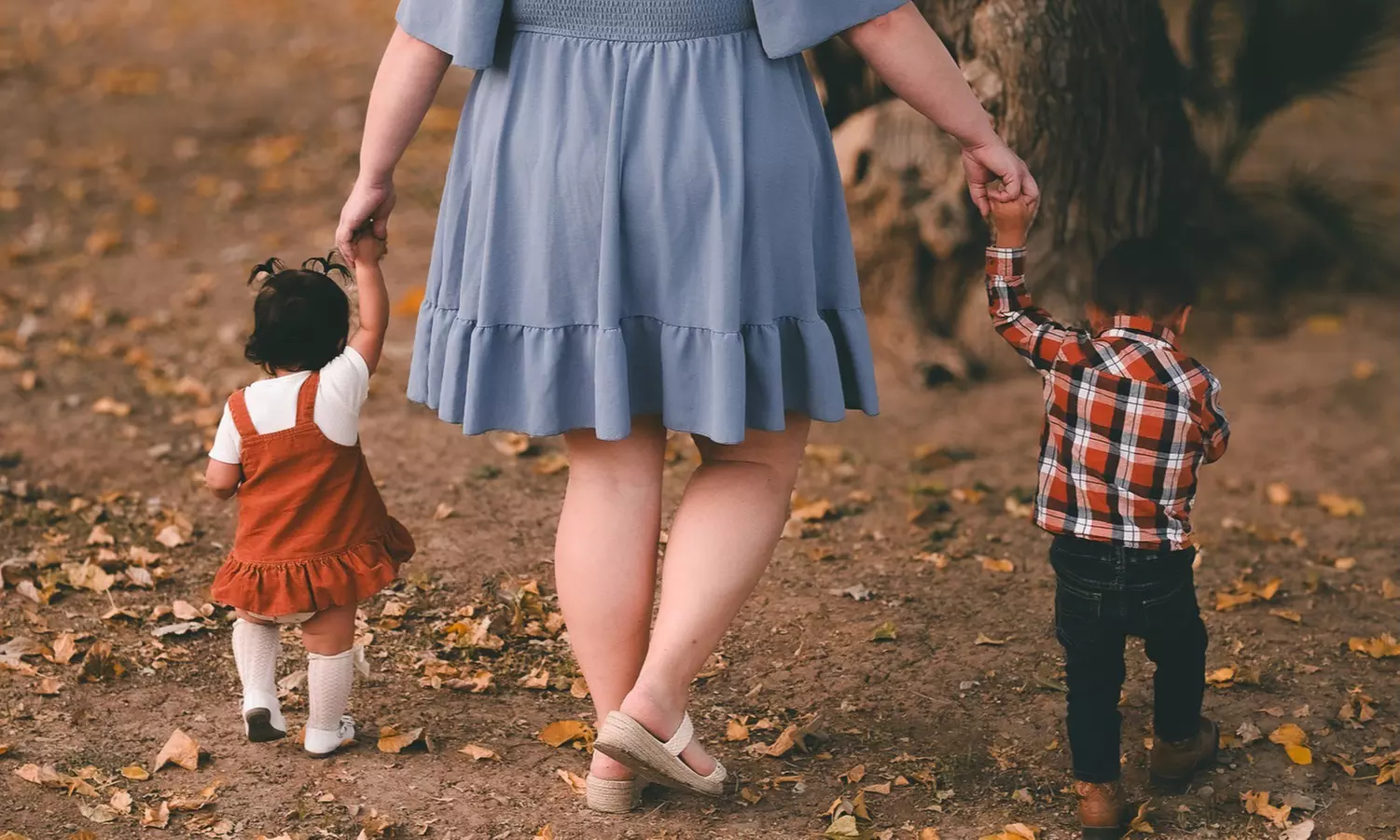 Outdoor Photography Sessions — 60 or 90 Minutes with Photo Package