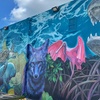 Image 6: Explore Miami's Historic Sights and Everglades' Beauty on Tours