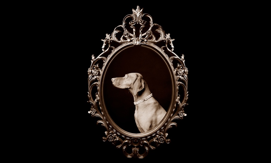 Image 11: Family Portrait, Pet Photography, or Couples Photoshoot Experience