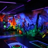 Image 3: Spiel, Spaß und 3D-Effekte: Schwarzlicht-Minigolf inkl. Ausrüstung