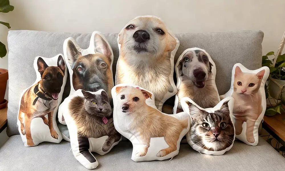 Niestandardowa personalizowana poduszka 3D ze zdjęciem zwierzaka