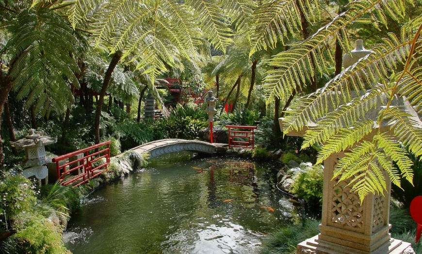 Image 18: ✈ 6-Day Madeira: Explore Portugal's Garden Island with Flights and Car