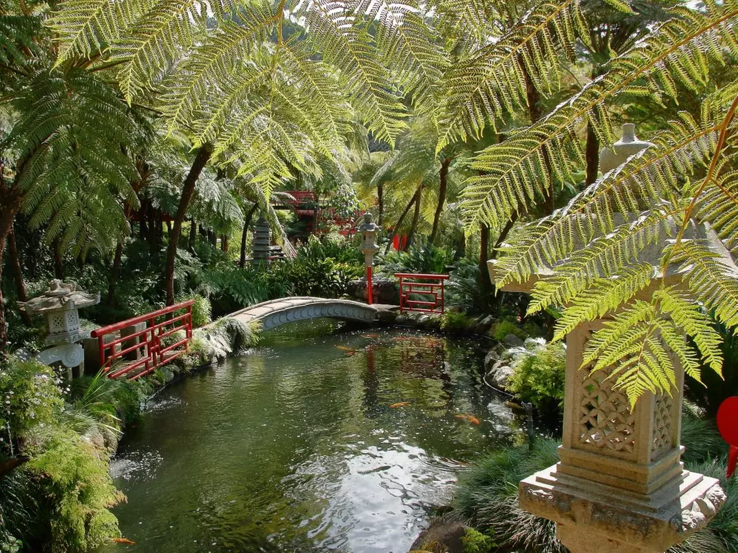 ✈ 6-Day Madeira: Explore Portugal's Garden Island with Flights and Car