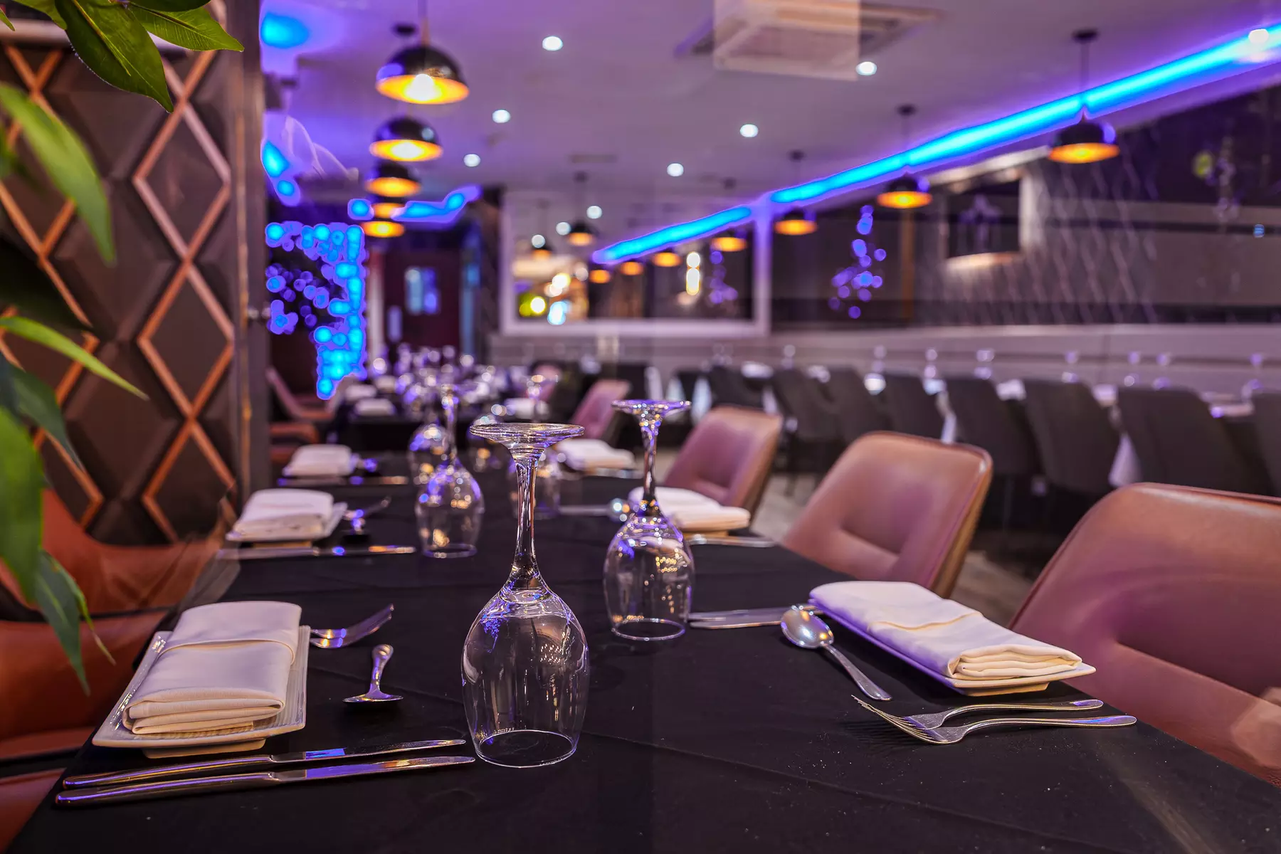 Up to 40% Off on Indian Cuisine at Mustard Indian Kitchen