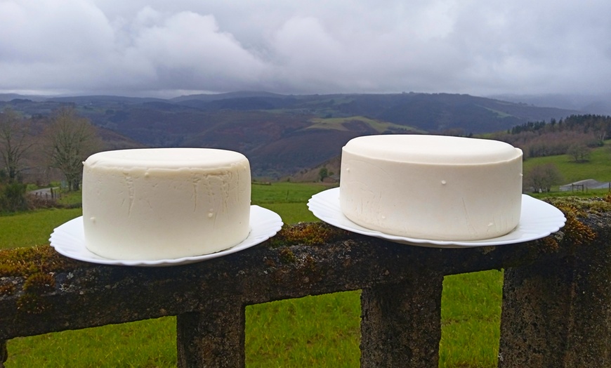Image 5: Curso de elaboración artesanal de quesos y productos lácteos