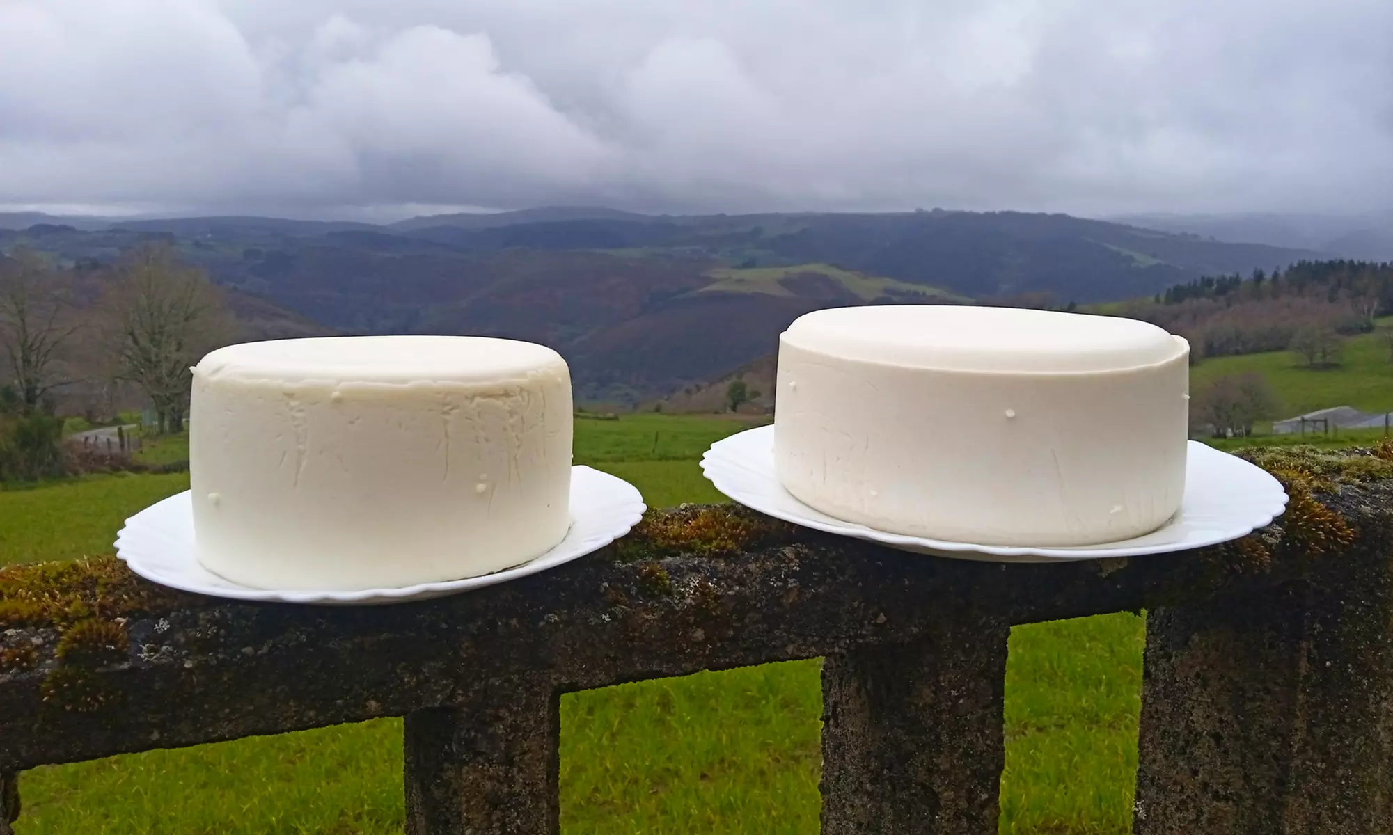 Curso de elaboración artesanal de quesos y productos lácteos