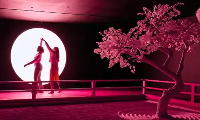 Visit Moco Museum London and Explore Modern Art