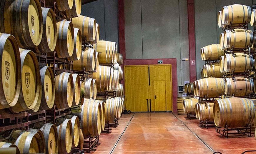 Image 3: Visita guiada a bodega con cata de 3 vinos y tapas para 2 o 4 personas