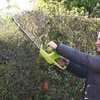 Image 6: Garden Gear Handheld Hedge Trimmers 600W, 12V and 20V