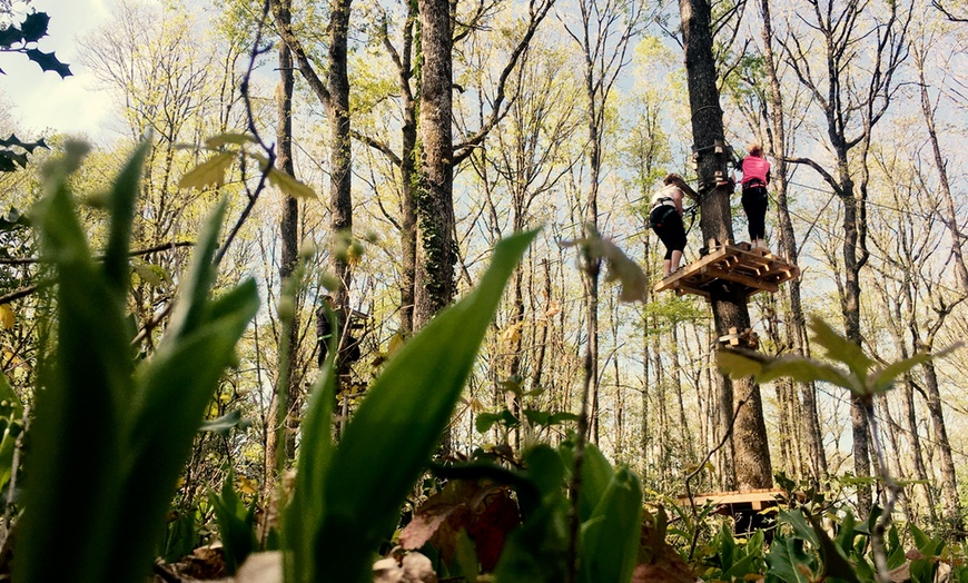 Image 3: Aventure en plein air : orientation, accrobranche ou paintball