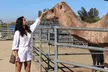 Enjoy Petting Zoo & Indulge in Artisan Chocolates with Admission to Sugarplum Zoo in Temecula (Up to 25% Off) - Second Medium