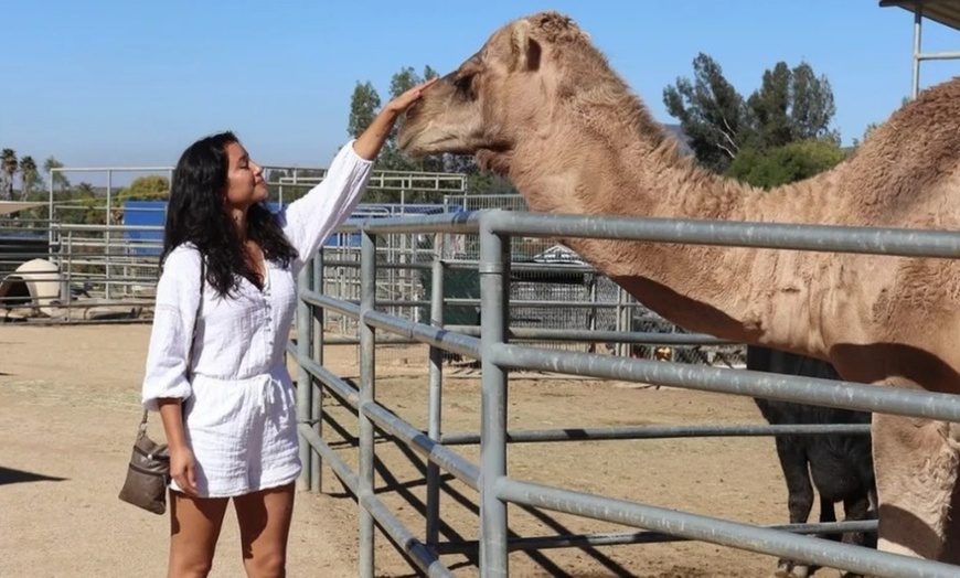 Image 4: Up to 25% Off Zoo Admission & Chocolates at Sugarplum Zoo